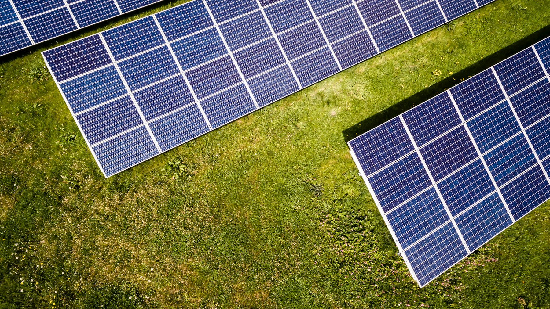 Modules solaires pour le marché américain